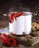 Accolade Stainless Steel 9L Stock Pot with cover Meyer, Made in Canada