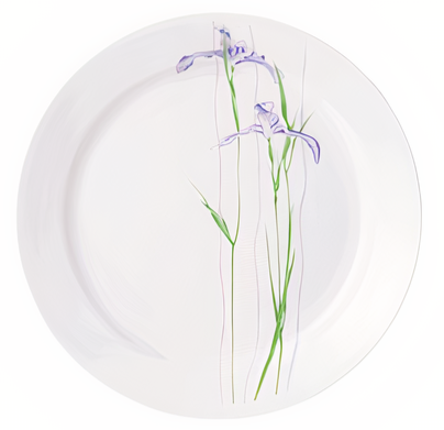 Corelle 10.25" Dinner Plate Shadow Iris